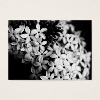 Black and White Flowers