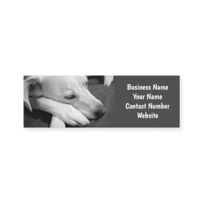 Black and White Photo of a Dog Sleeping Simple Mini