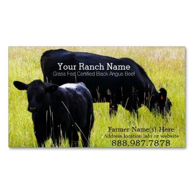 Black Angus Beef Cattle Ranch Farm  Magnet