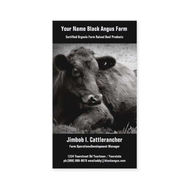 Black Angus Beef Ranch or Farm Business