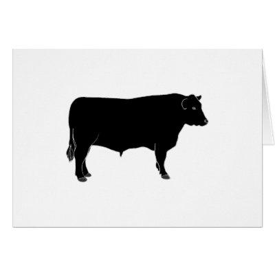 Black Angus Bull