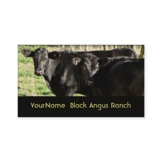 Black Angus Cattle Ranch