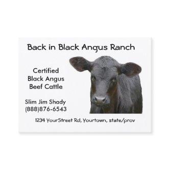 Black Angus Cattle Ranch