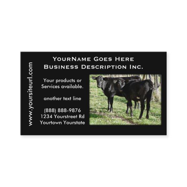 Black Angus Cattle Ranch