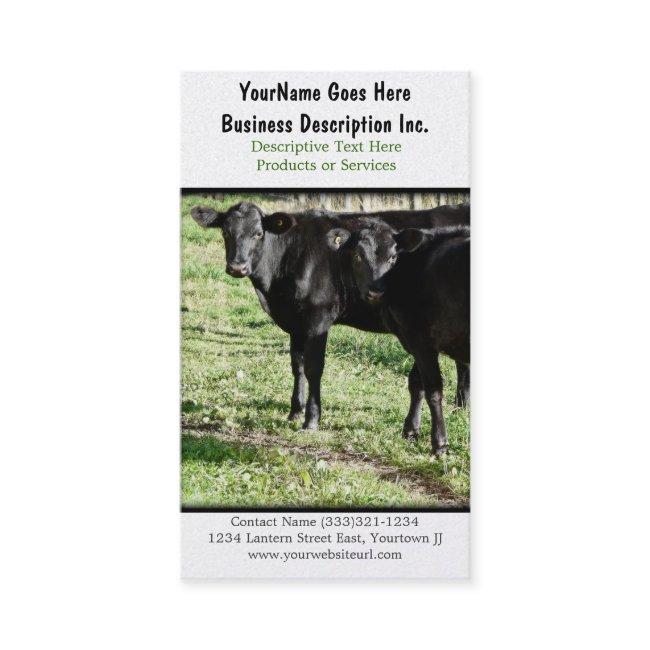 Black Angus Cattle Ranch