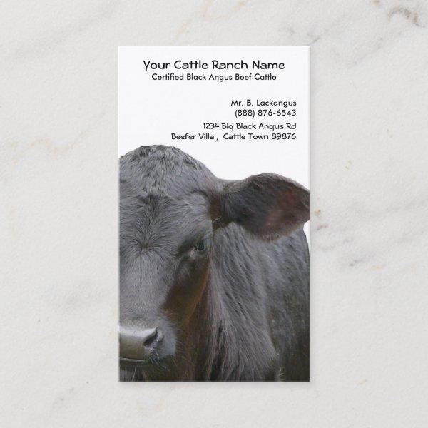 Black Angus Cattle Ranch