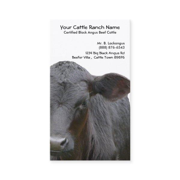 Black Angus Cattle Ranch