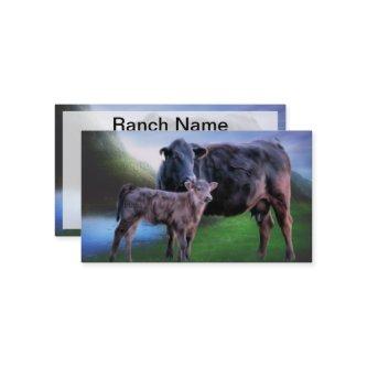 Black Angus Cow and Calf