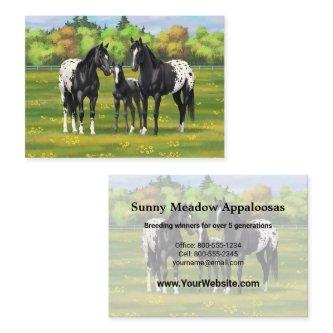 Black Appaloosa Horses In Summer Pasture