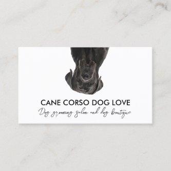 Black Cane Corso Dog