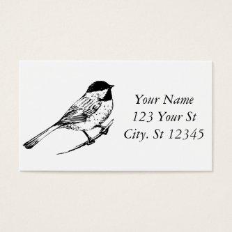 Black-capped Chickadee Thunder_Cove