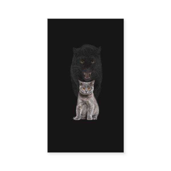 Black Cat Panther Animal Cute Evolution