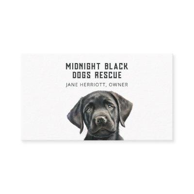 Black Dog Rescue Organization