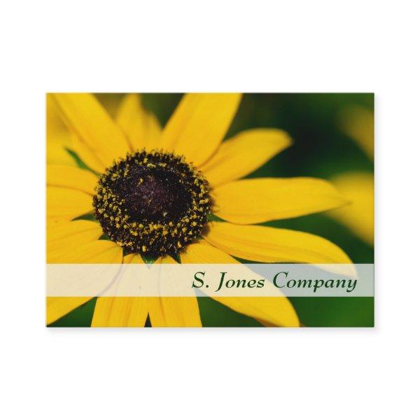 Black-eyed Susan Widlflower