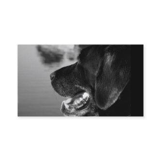 BLACK LABRADOR -  Template