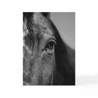 Black White Horse Eye Artwork Card
