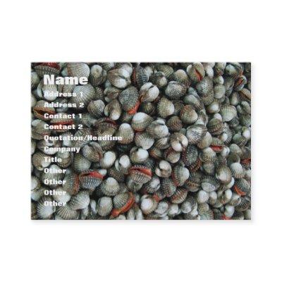 Blood Cockle Shells