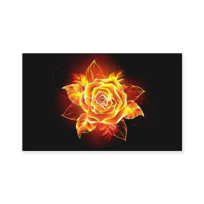 Blooming Fire Rose