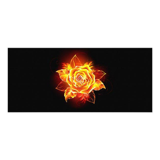 Blooming Fire Rose Rack Card