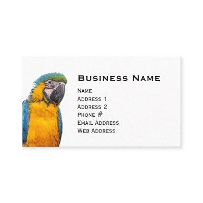 Blue and Gold Macaw