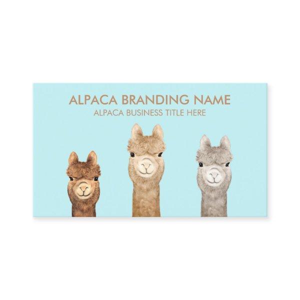 Blue Brown Alpaca Animal