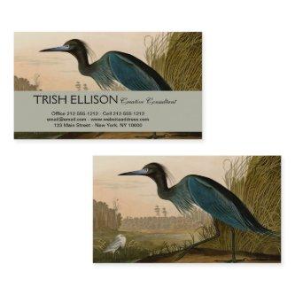 Blue Crane Heron Audubon Painting