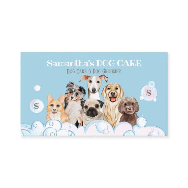 Blue Dog Spa Salon Bubble Bathing Grooming