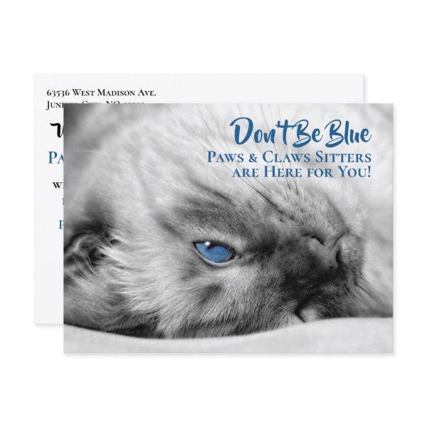 Blue Eyed Siamese Pet Sitter's Custom Postcard