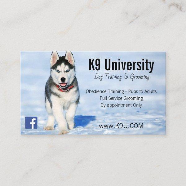 Blue Eyed Siberian Husky Dog Training/Groom Card