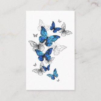 Blue Flying Butterflies Morpho