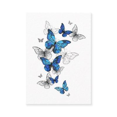 Blue Flying Butterflies Morpho