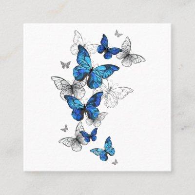 Blue Flying Butterflies Morpho Square