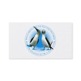 Blue Footed Boobies Bird Watching Guide
