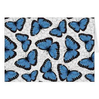 Blue morpho butterflies
