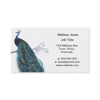Blue Peacock with beautiful tail feathers