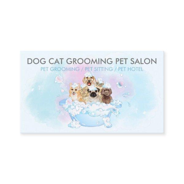 Blue Pink Water Cats Dogs Bubbles Pet Grooming