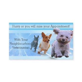 Blue Rush Veterinarian Appointment Card