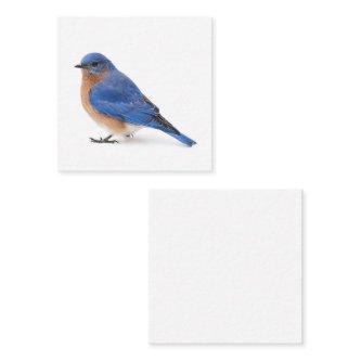 Bluebird Square