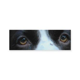 Bookmark or Profile card "The eyes know"