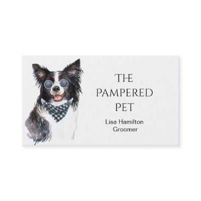 Border Collie Pet Groomer/Vet/Sitters