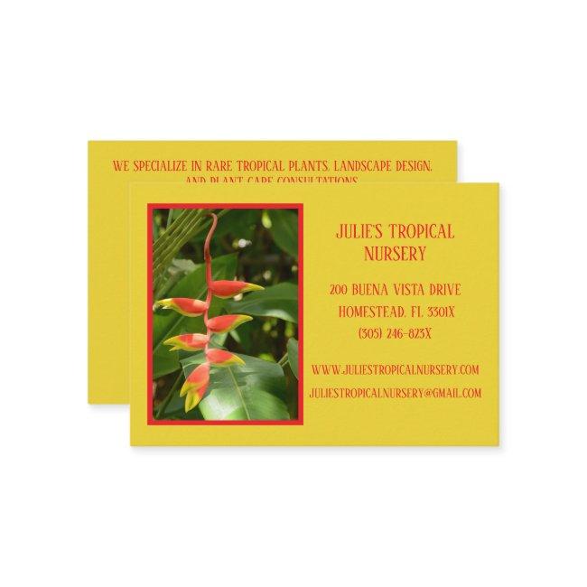 Botany Green Plant Nursery Tropical Plants