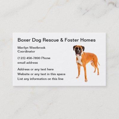 Boxer Dog Rescue And Foster Homes