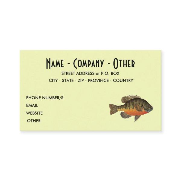 Bream Fishing