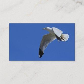 Breathtaking Ring-Billed Gull in Flight