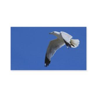 Breathtaking Ring-Billed Gull in Flight