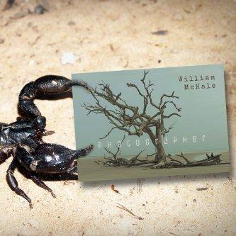 Broken Tree Driftwood Double-sided Modern