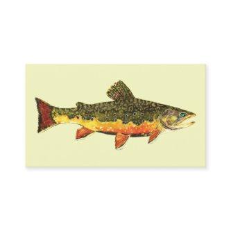 Brook Trout Fish