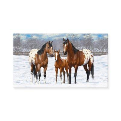 Brown Bay Appaloosa Horses In Snow