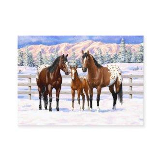 Brown Bay Appaloosa Horses In Snow