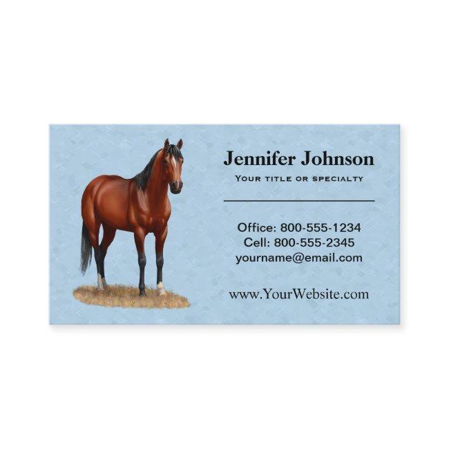 Brown Bay Quarter Horse Stallion